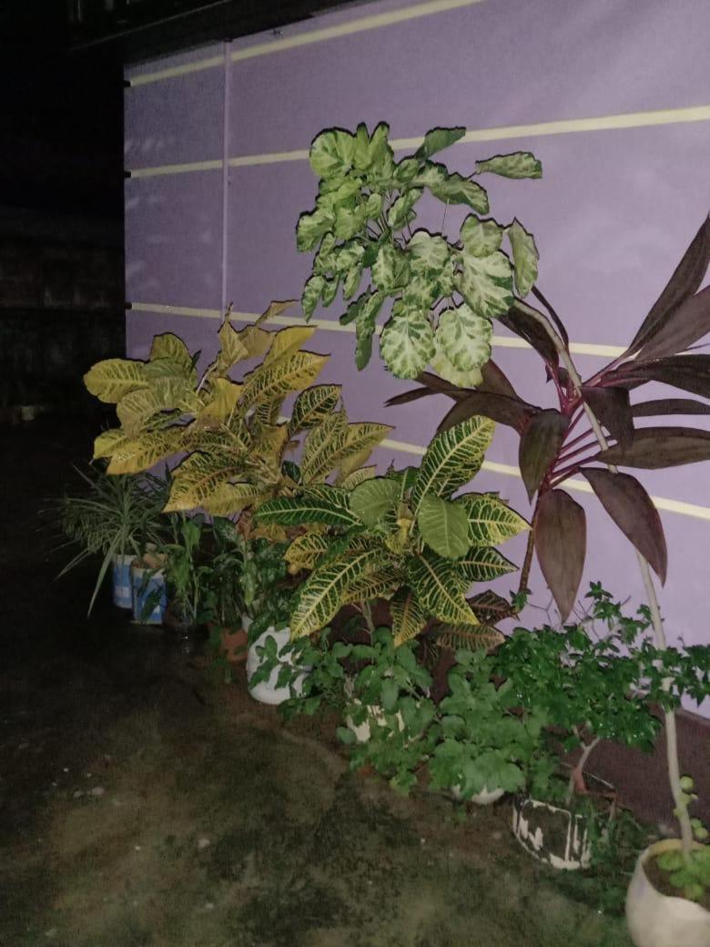 Anna Miracle Homestay Kasarkod Extérieur photo